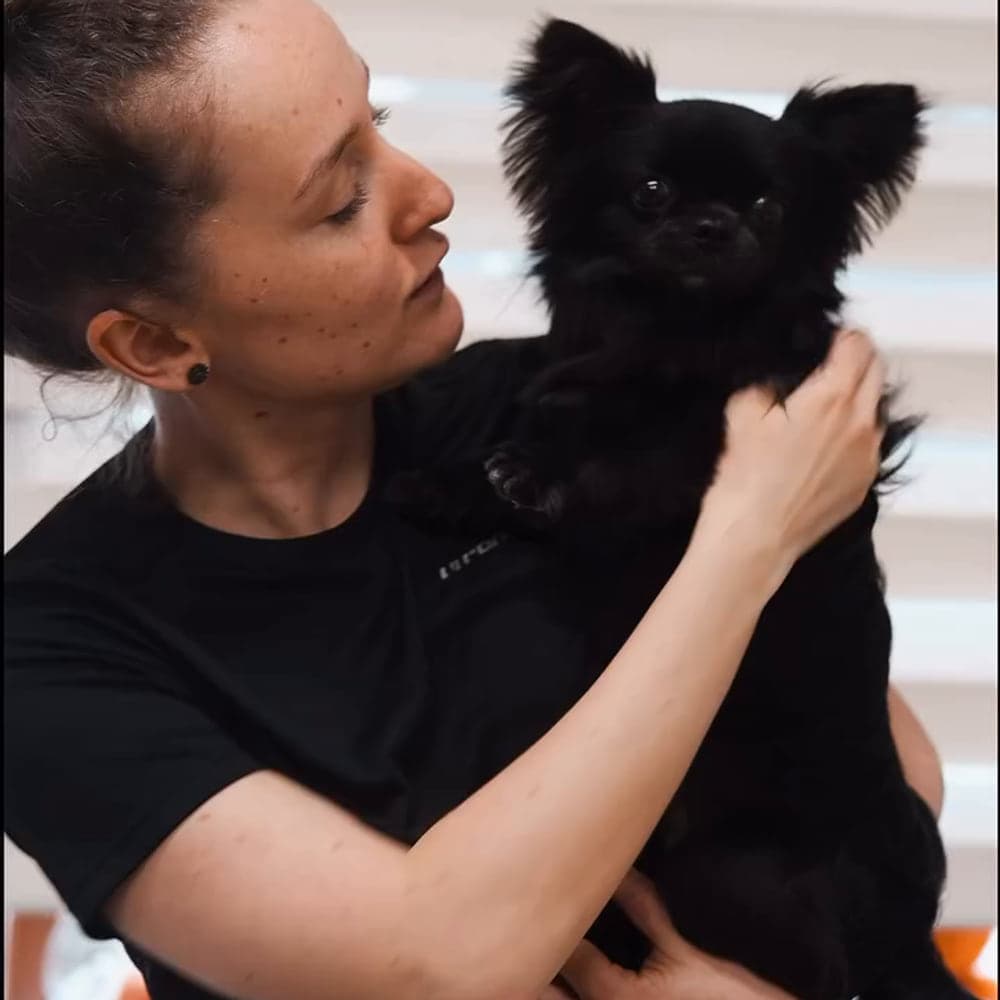Video: úprava dlouhosrsté černé čivavy
